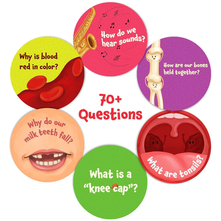 Science Snippet Human Body - Image 6