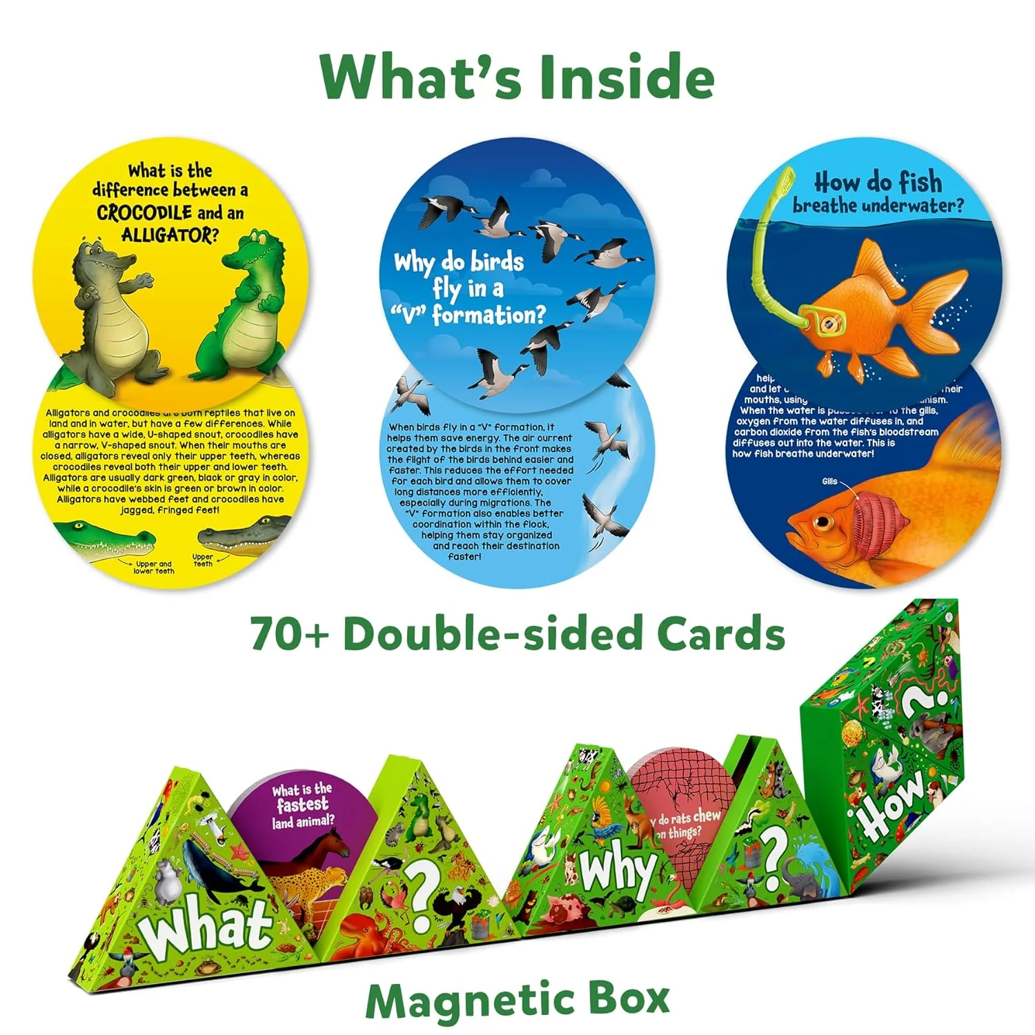 Science Snippets All About Animals - Image 2