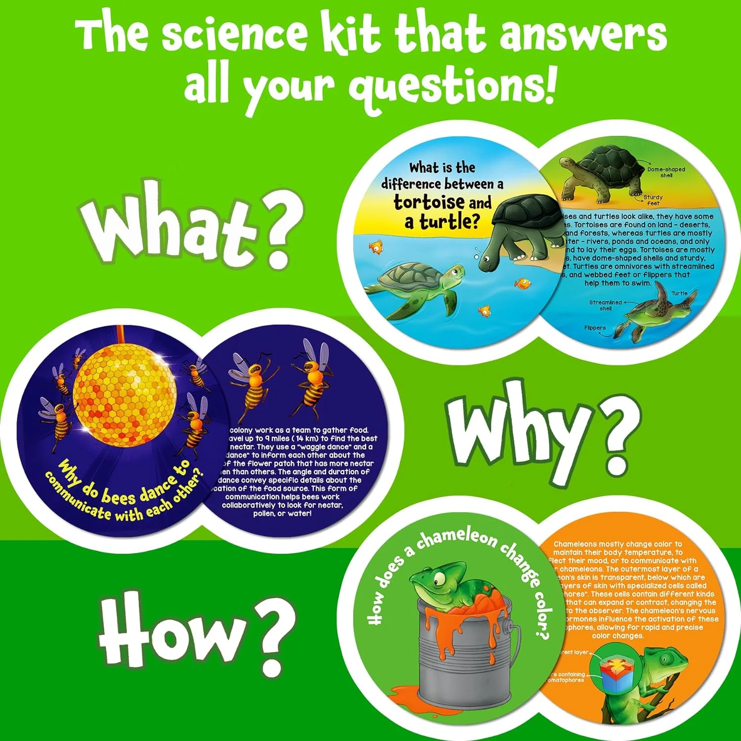 Science Snippets All About Animals - Image 4