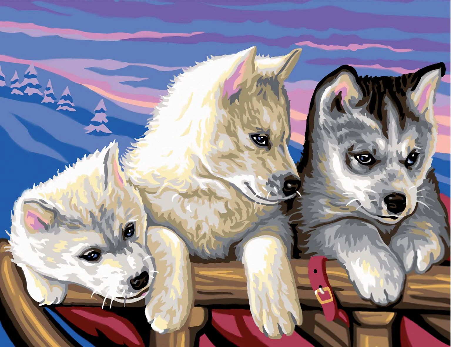 Senior Paint By Numbers Huskies - Image 2