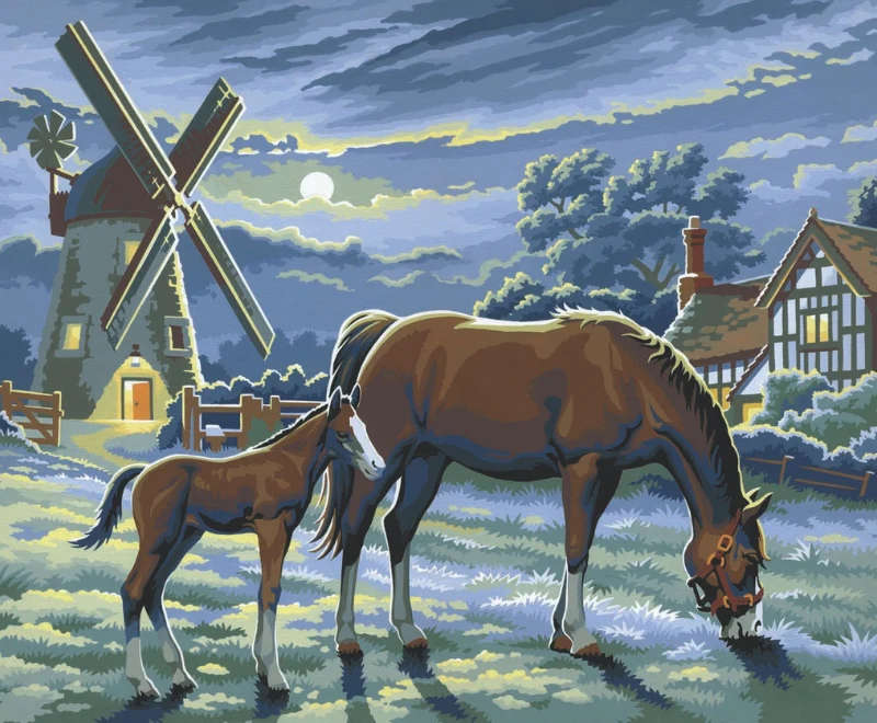Senior Painting By Numbers Evening Pasture - Image 2