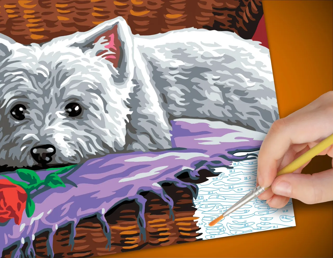Senior Painting By Numbers Romeo - Image 4