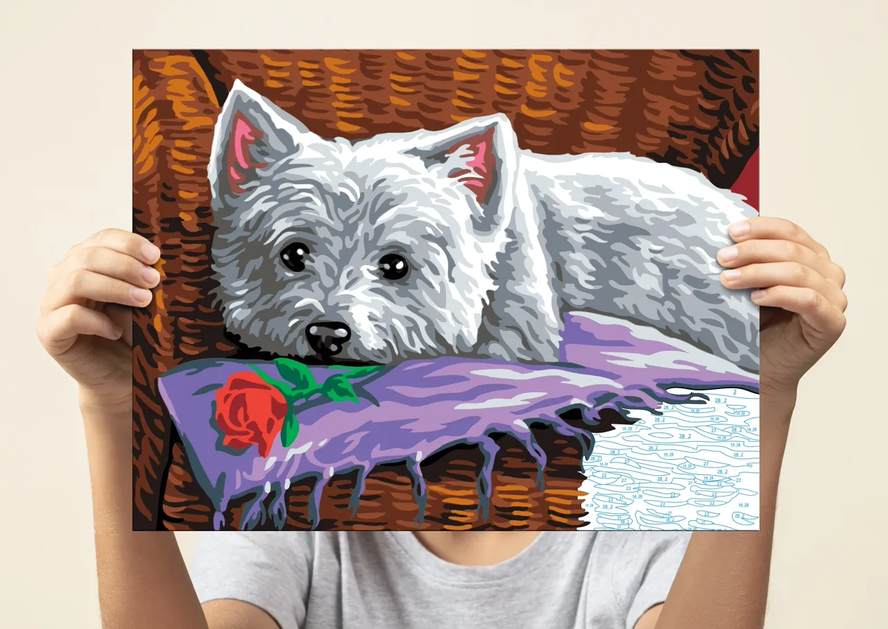 Senior Painting By Numbers Romeo - Image 6