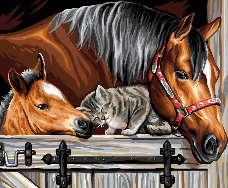 Senior Painting By Numbers Stable Door Trio - Image 2