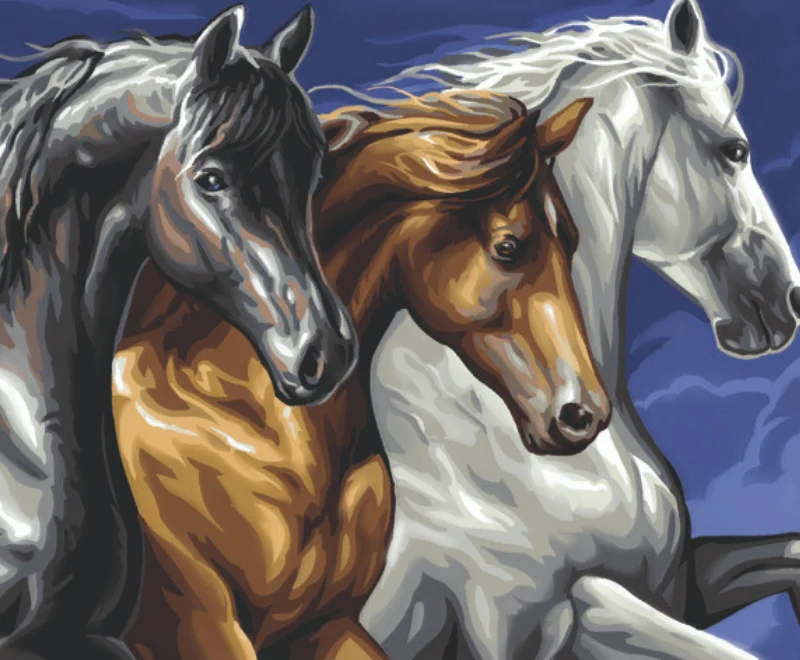 Senior Painting By Numbers Wild Horses - Image 2