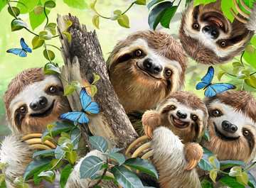 Ravensburger Sloth Selfie 500 Piece Jigsaw Puzzle - Image 2