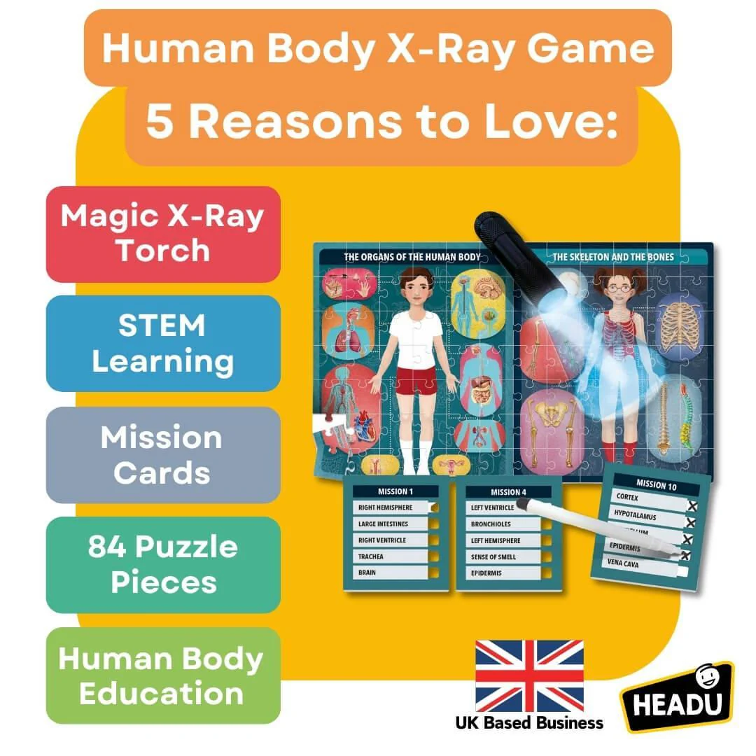 The Human Body under X-Ray Puzzle - Image 2