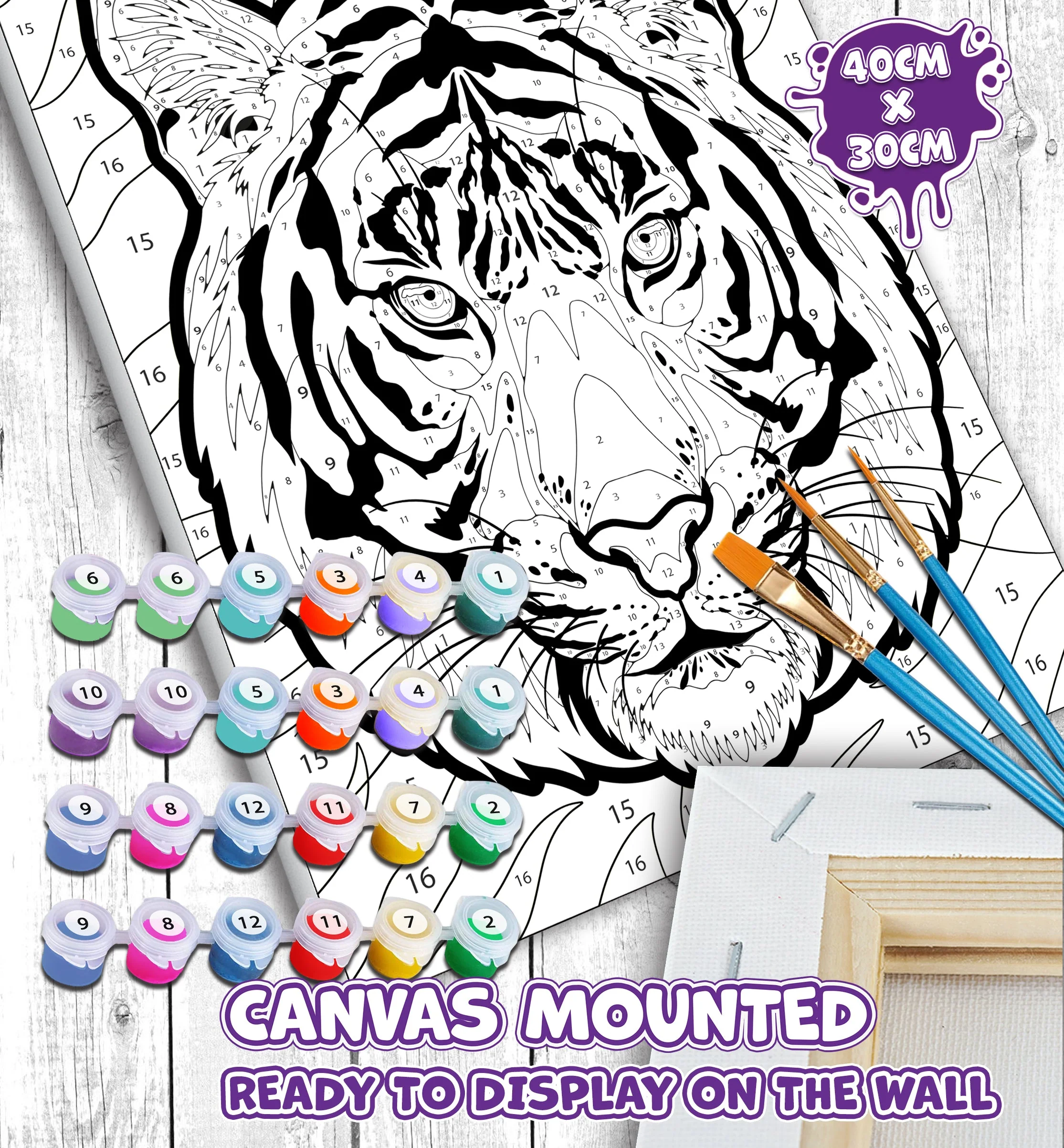 Tiger Paint By Numbers - Image 3