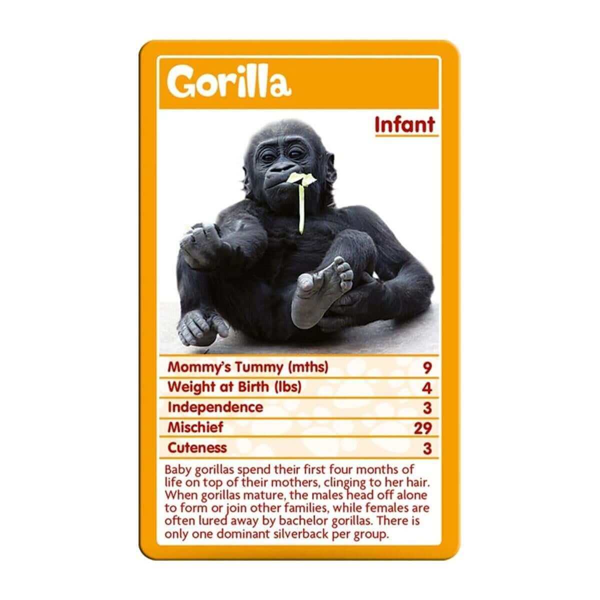 Top Trumps Baby Animals - Image 2