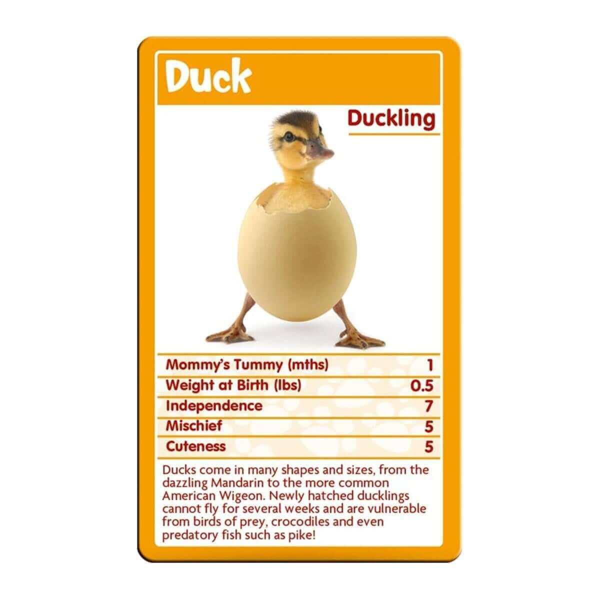 Top Trumps Baby Animals - Image 3