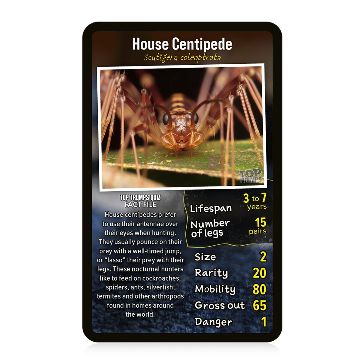 Top Trumps Creepy Crawlies - Image 2
