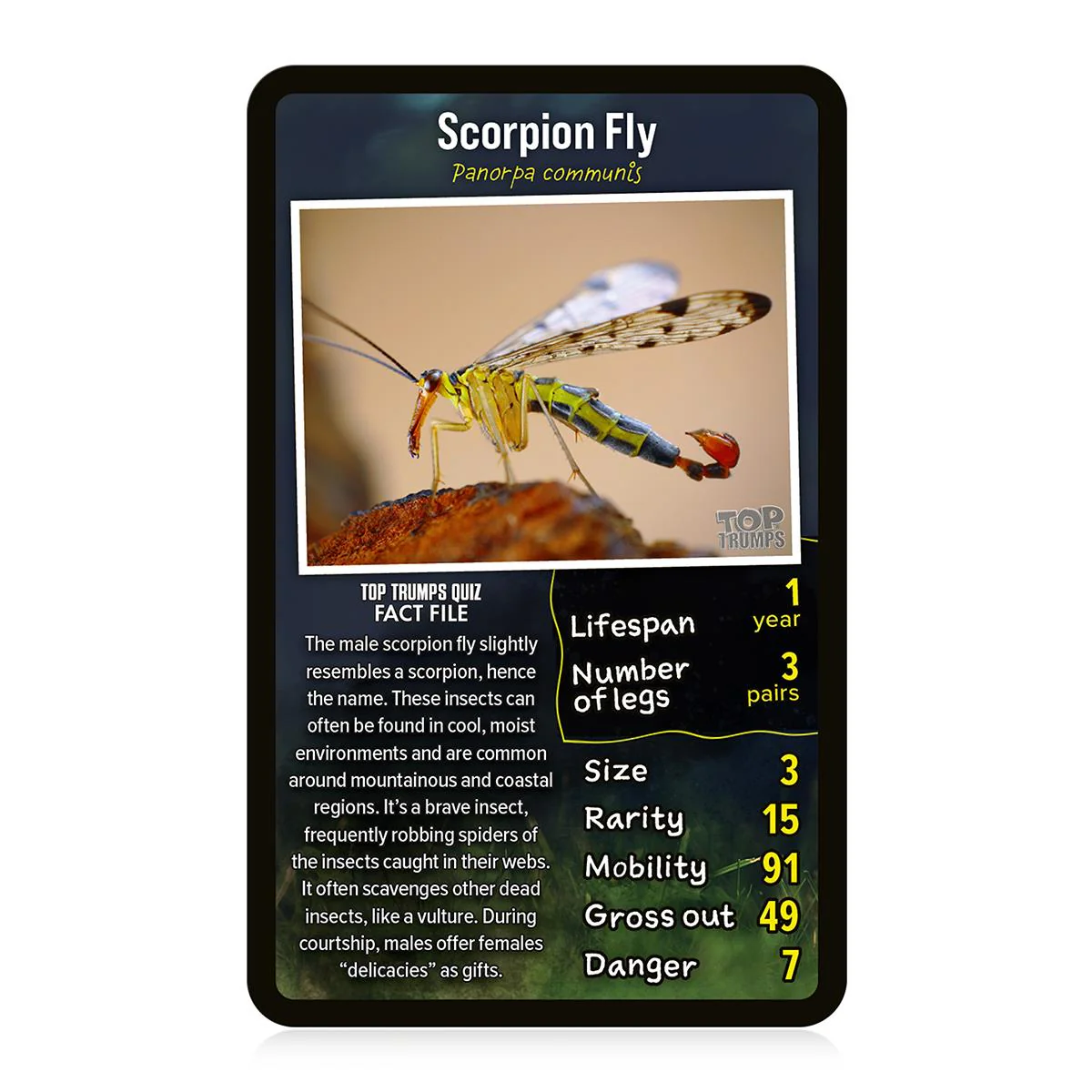 Top Trumps Creepy Crawlies - Image 4