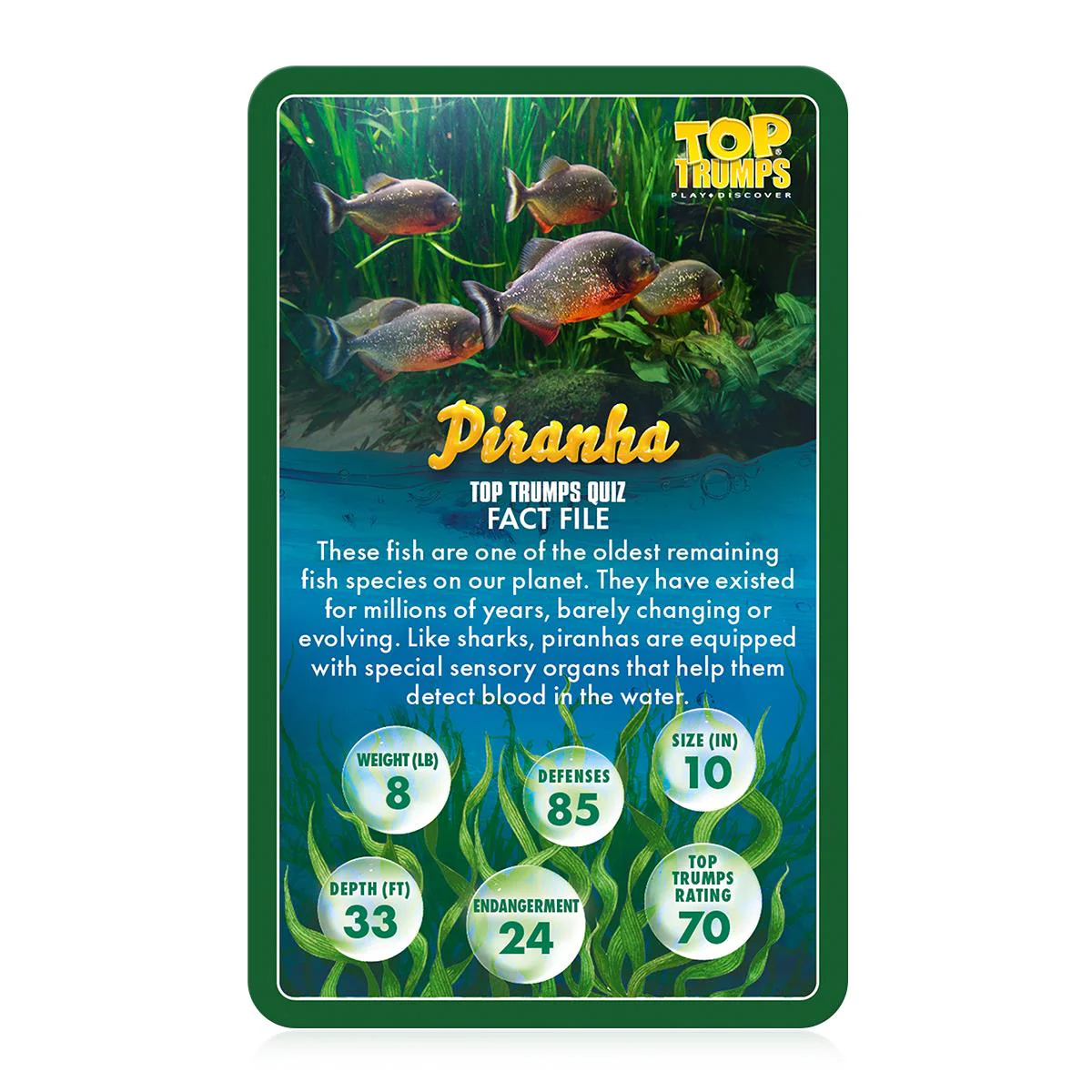 Top Trumps Sealife - Image 2