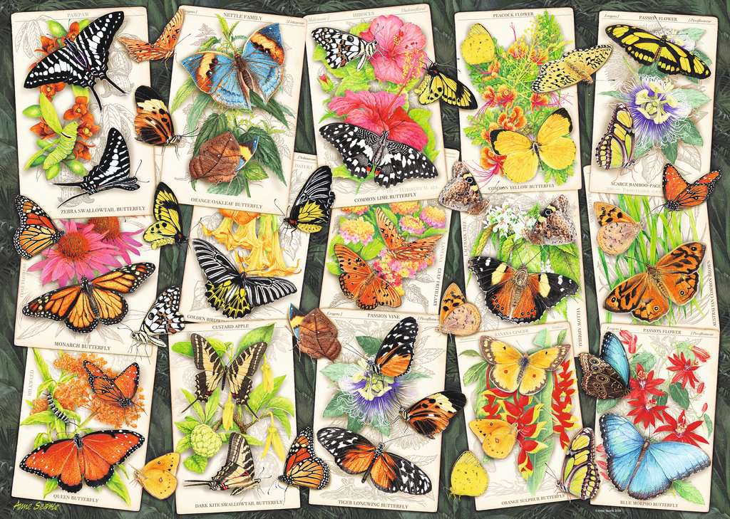 Ravensburger Tropical Butterflies 1000 Piece Jigsaw Puzzle - Image 2
