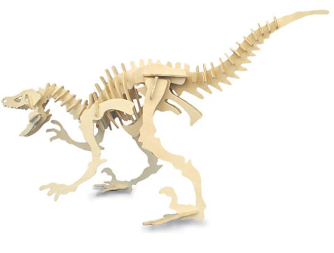 Velociraptor - Image 2