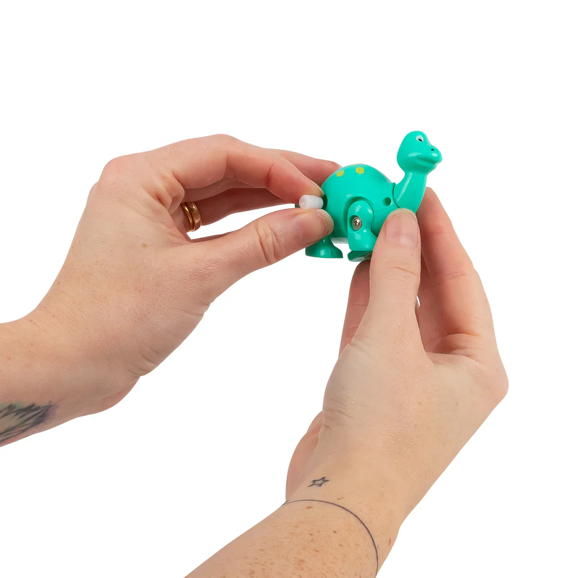 Wind Up Dinosaur Assortment - Image 6